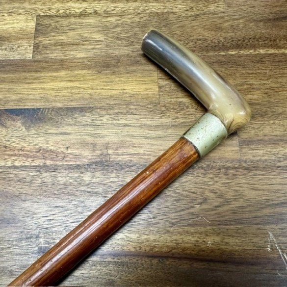 Walking Stick 3a